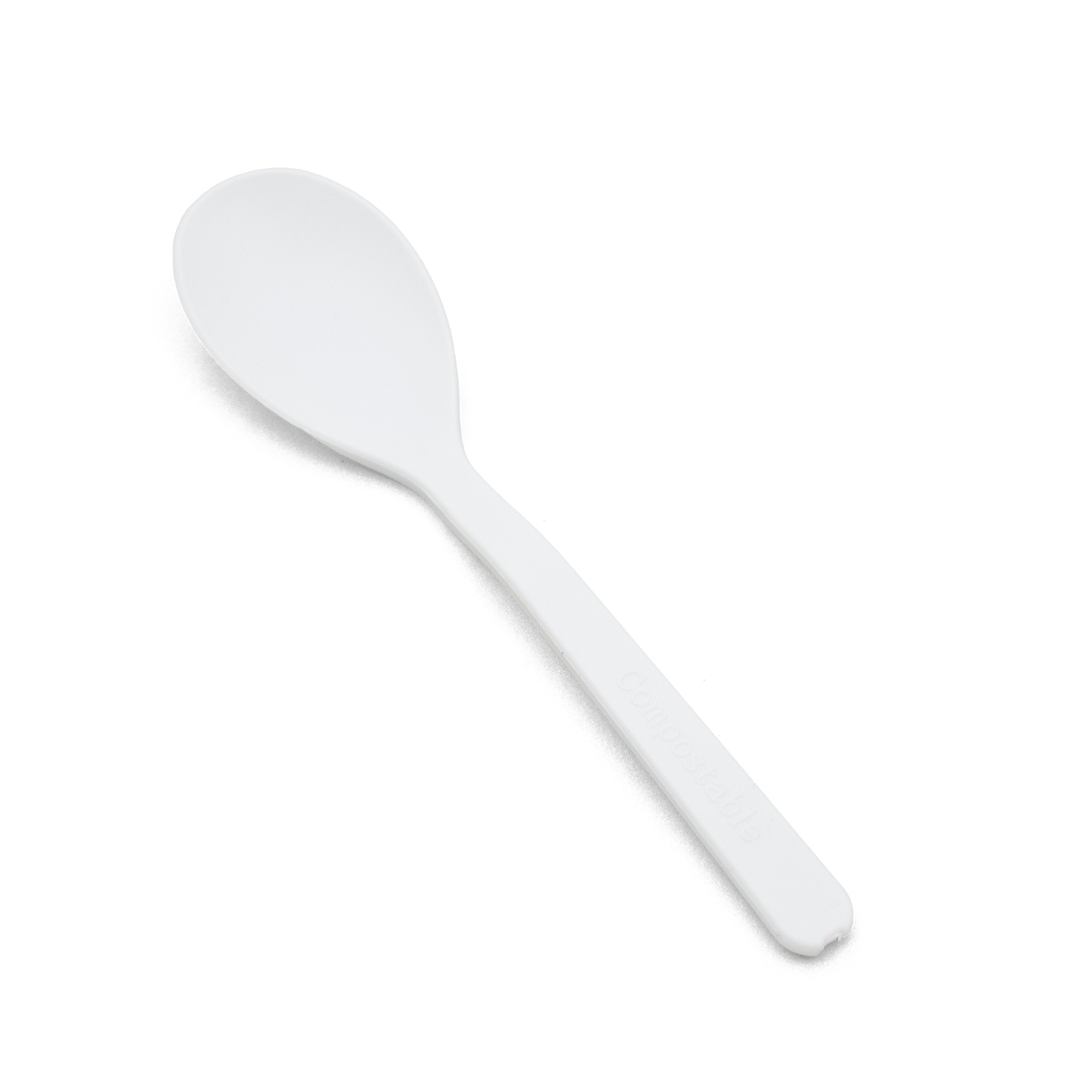 LOGICARE Biodegradable Teaspoons - Carton (2000)