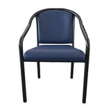 Sara Chair - Black Powdercoated Frame with Neptune Vinyl Upholstery OTHER