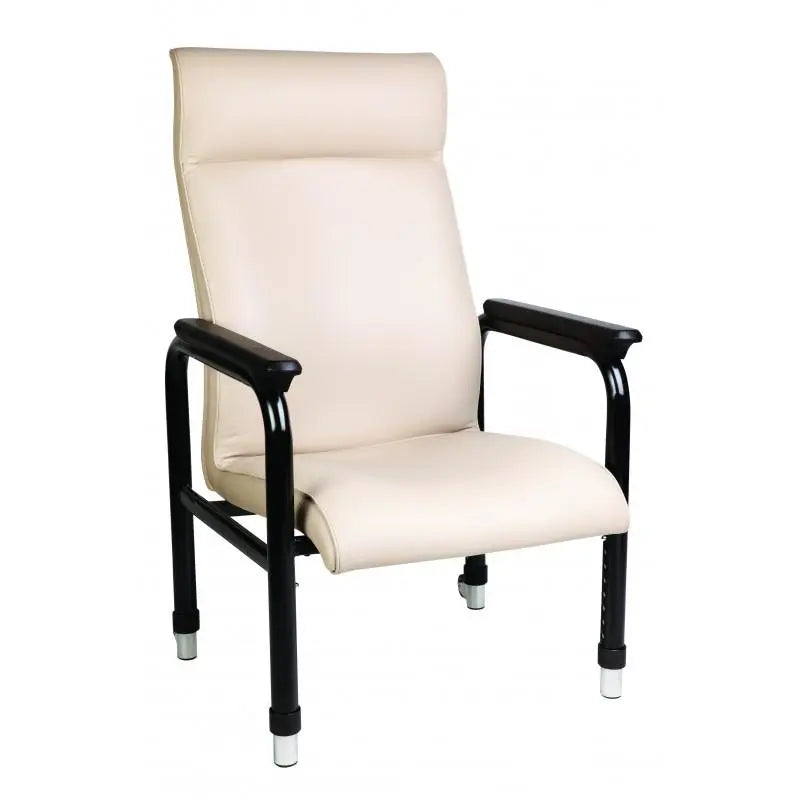 Vincent Health Care High Back Chair OTHER