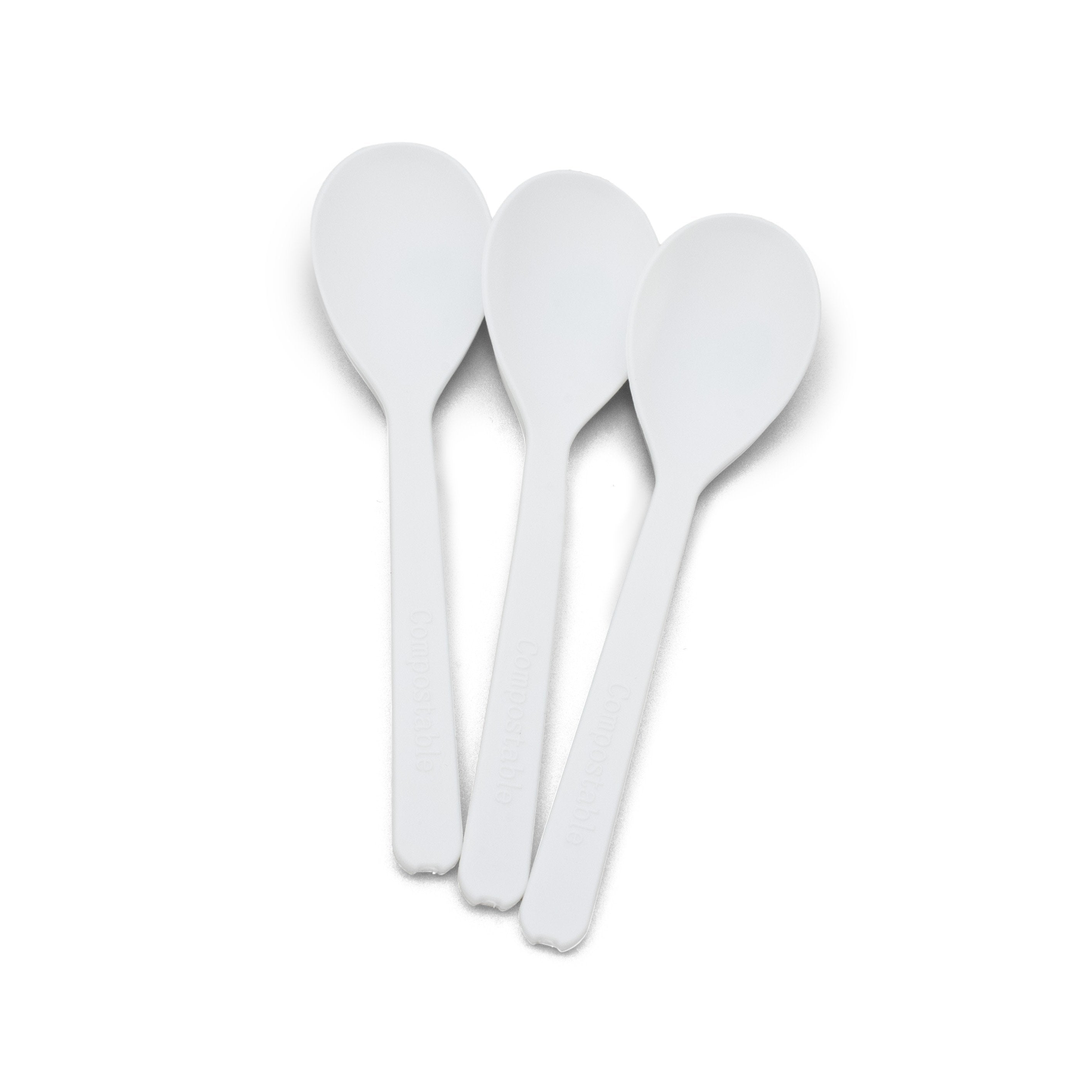 LOGICARE Biodegradable Teaspoons - Carton (2000)