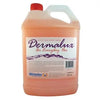 Dermalux Everyday Hand and Body Wash 5L - Each Whiteley
