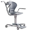 Healthweigh Chair Scale - 300kg Capacity (JE0660) Healthweigh