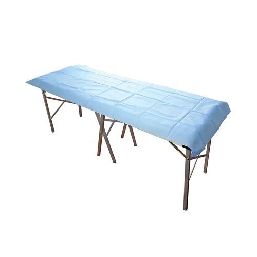 Disposable Flat Sheet Small / Modesty Sheet Light Blue 100cm x 70cm - Box (200)