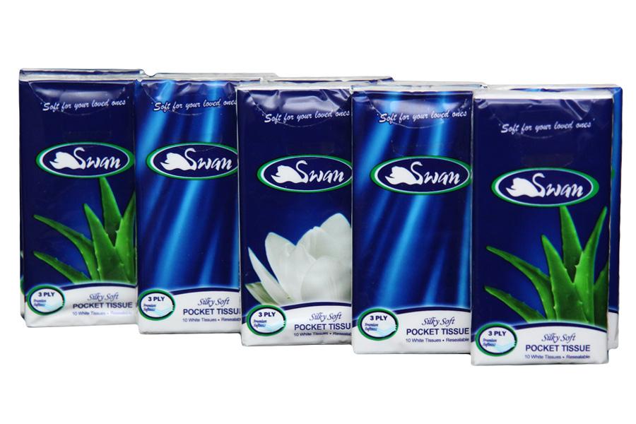 Pocket Tissues 3ply 10 Pack - Carton (360)