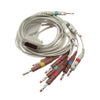 WELCH ALLYN 10-Lead Patient Cable, AHA, Banana, CP 50/CP150